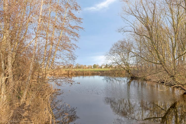 Photo 32 of Laan Eindeloos 14