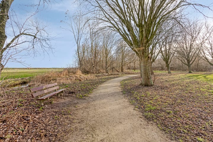 Photo 33 of Laan Eindeloos 14