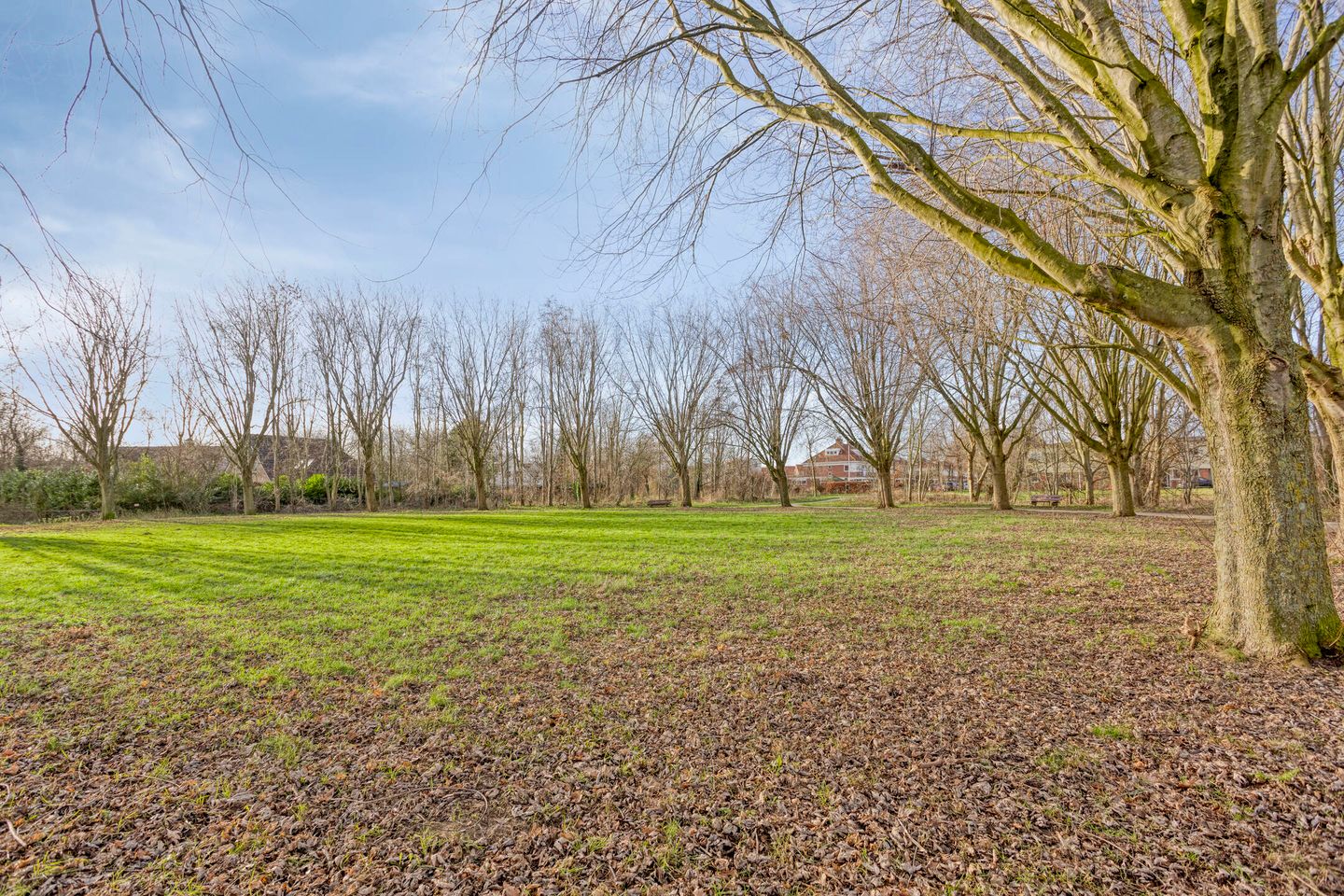 Foto 34 van Laan Eindeloos 14