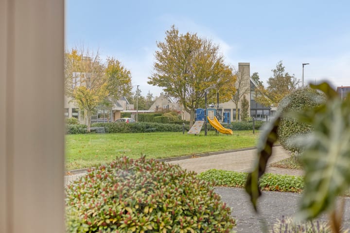 Foto 17 van De Parelvissers 53