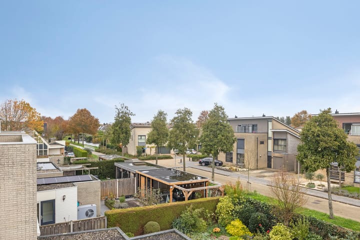 Foto 42 van De Parelvissers 53