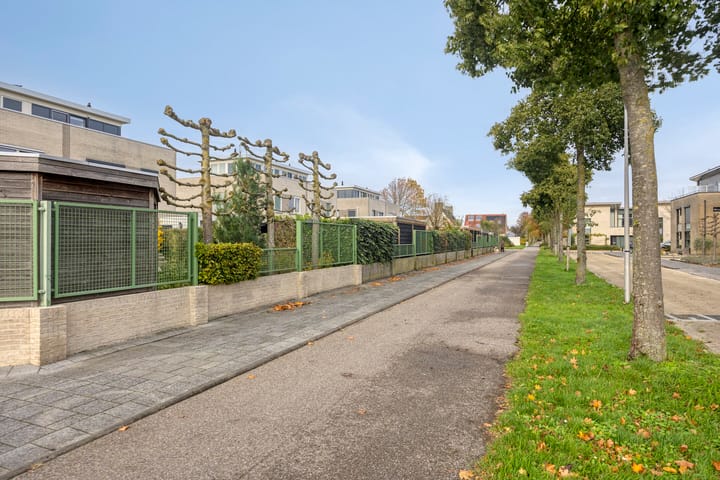 Foto 51 van De Parelvissers 53