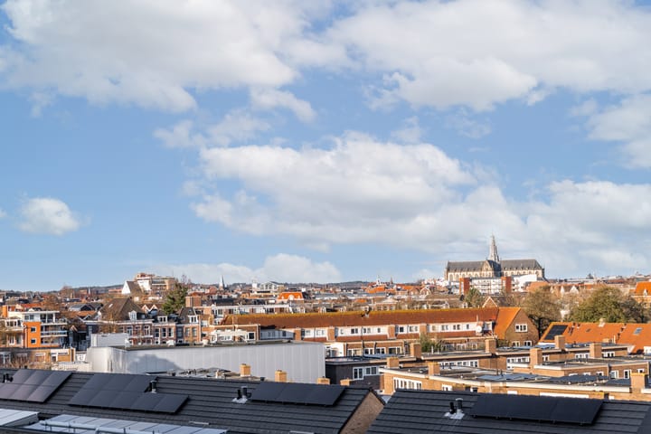 Foto 41 van Paltsstraat 110