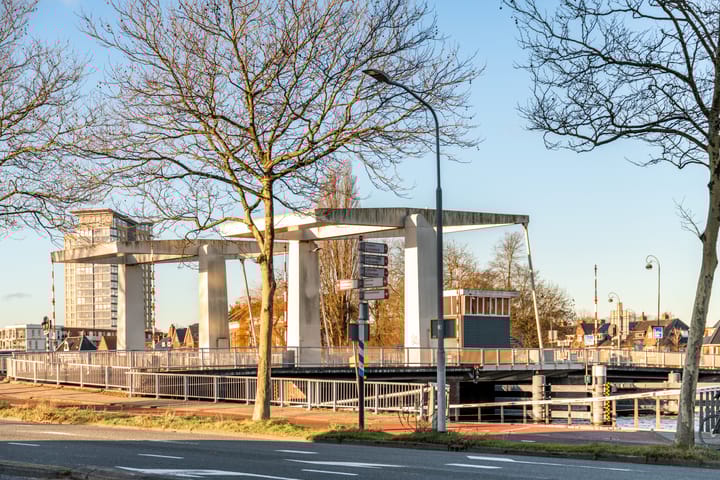 Foto 42 van Paltsstraat 110