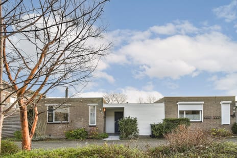 Barbierpad thumbnail