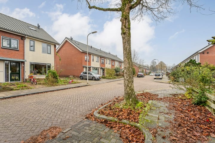 Foto 2 van Graaf van Rechterenstraat 10