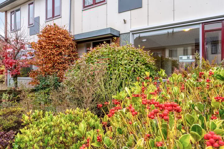 Foto 8 van Graaf van Rechterenstraat 10