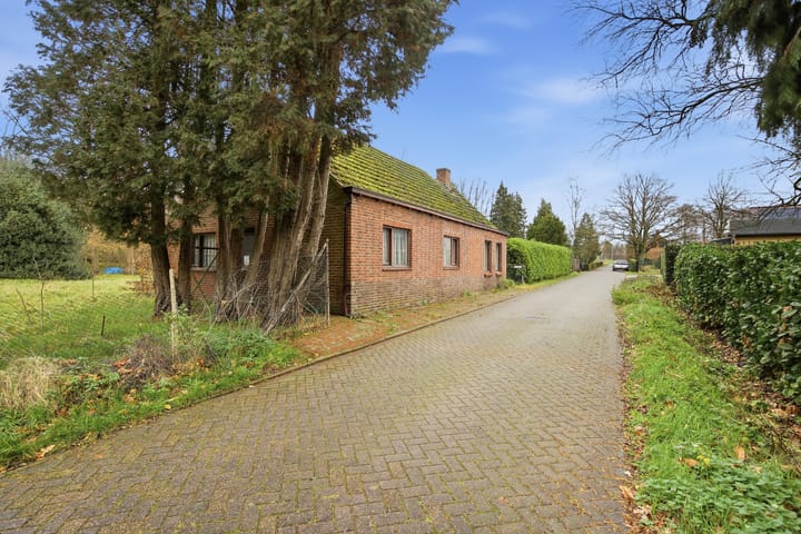 Nieuwe Stee 5 main image