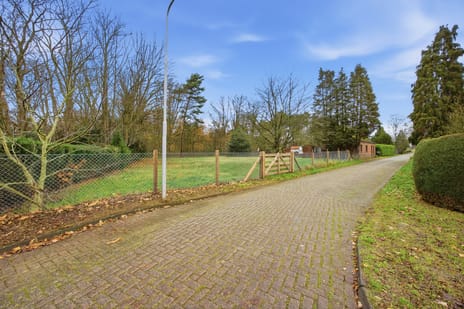 Nieuwe Stee 5 secondary image