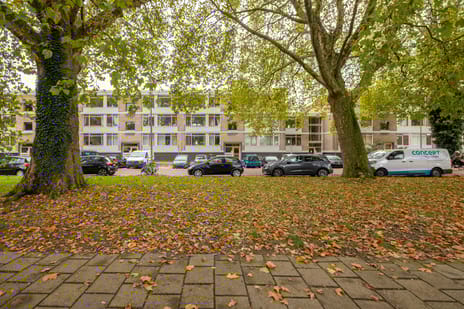 Thorbeckestraat thumbnail