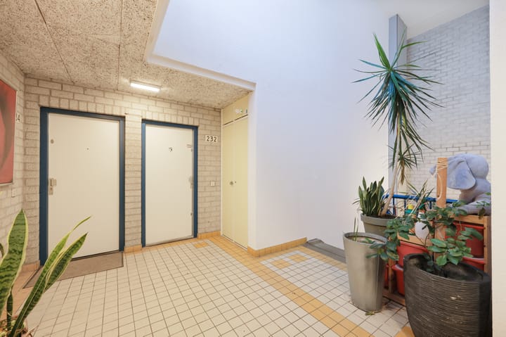 Photo 15 of Kolfschotenstraat 234