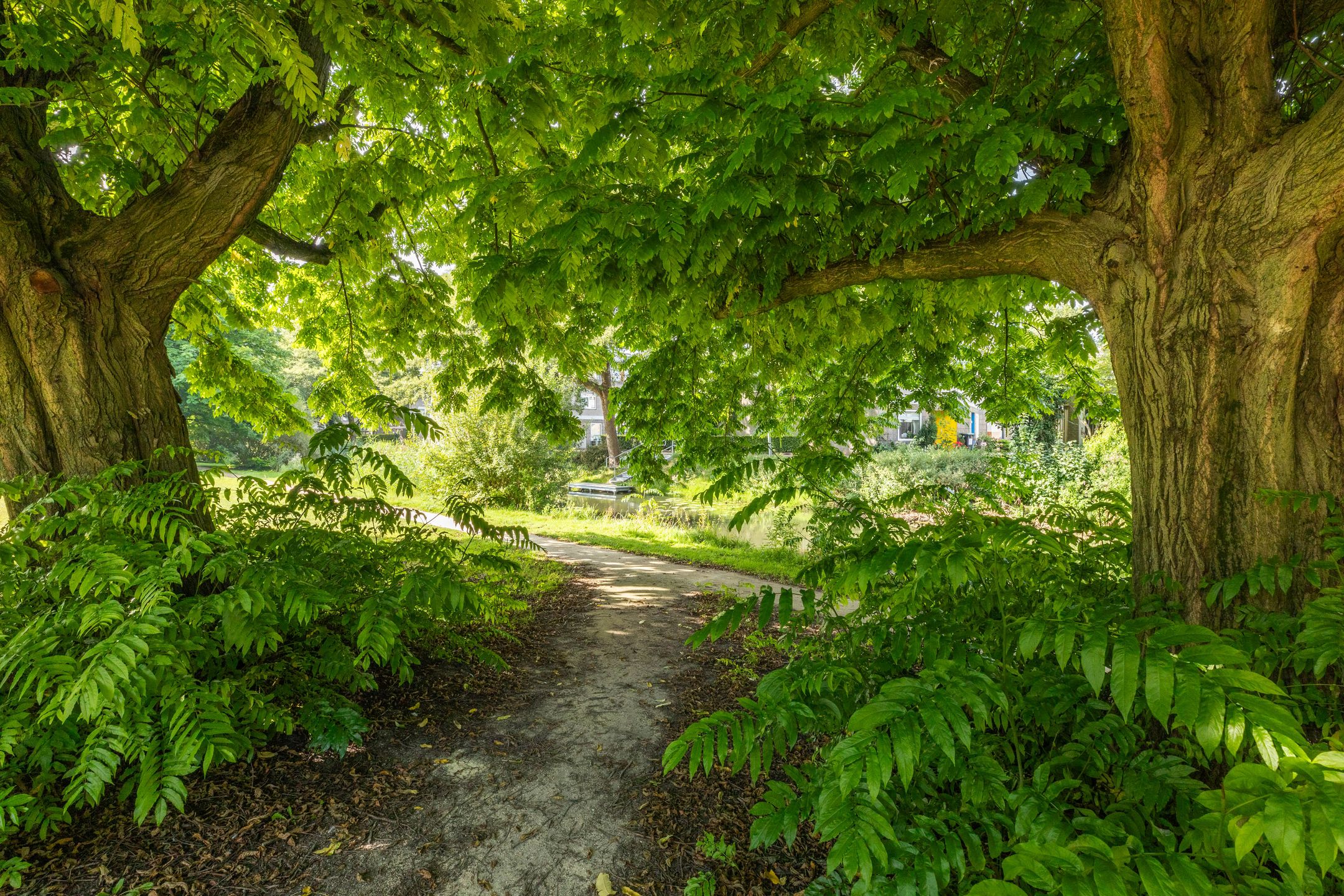 Foto 39 van Knokkestraat 44