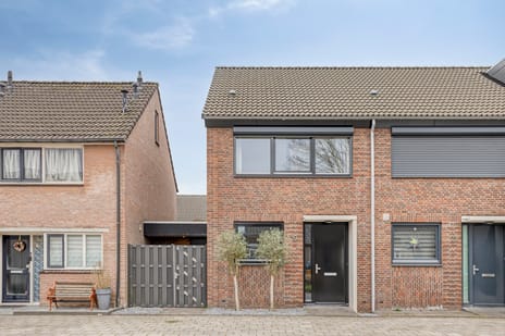 ter Borghstraat thumbnail