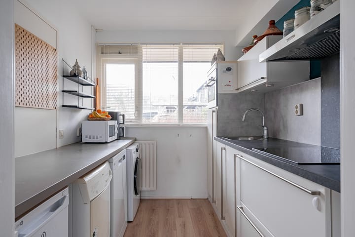 Foto 12 van Distelvink 66