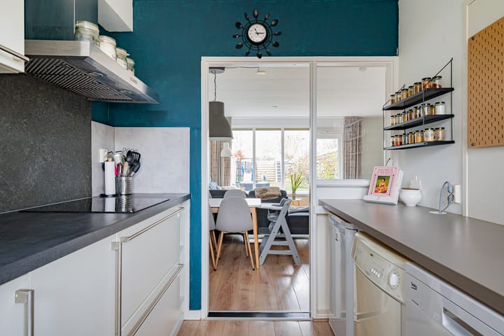 Foto 13 van Distelvink 66