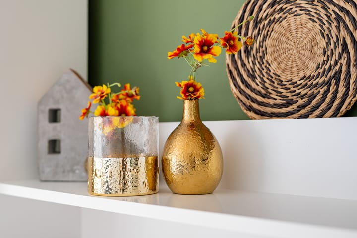 Foto 17 van Distelvink 66