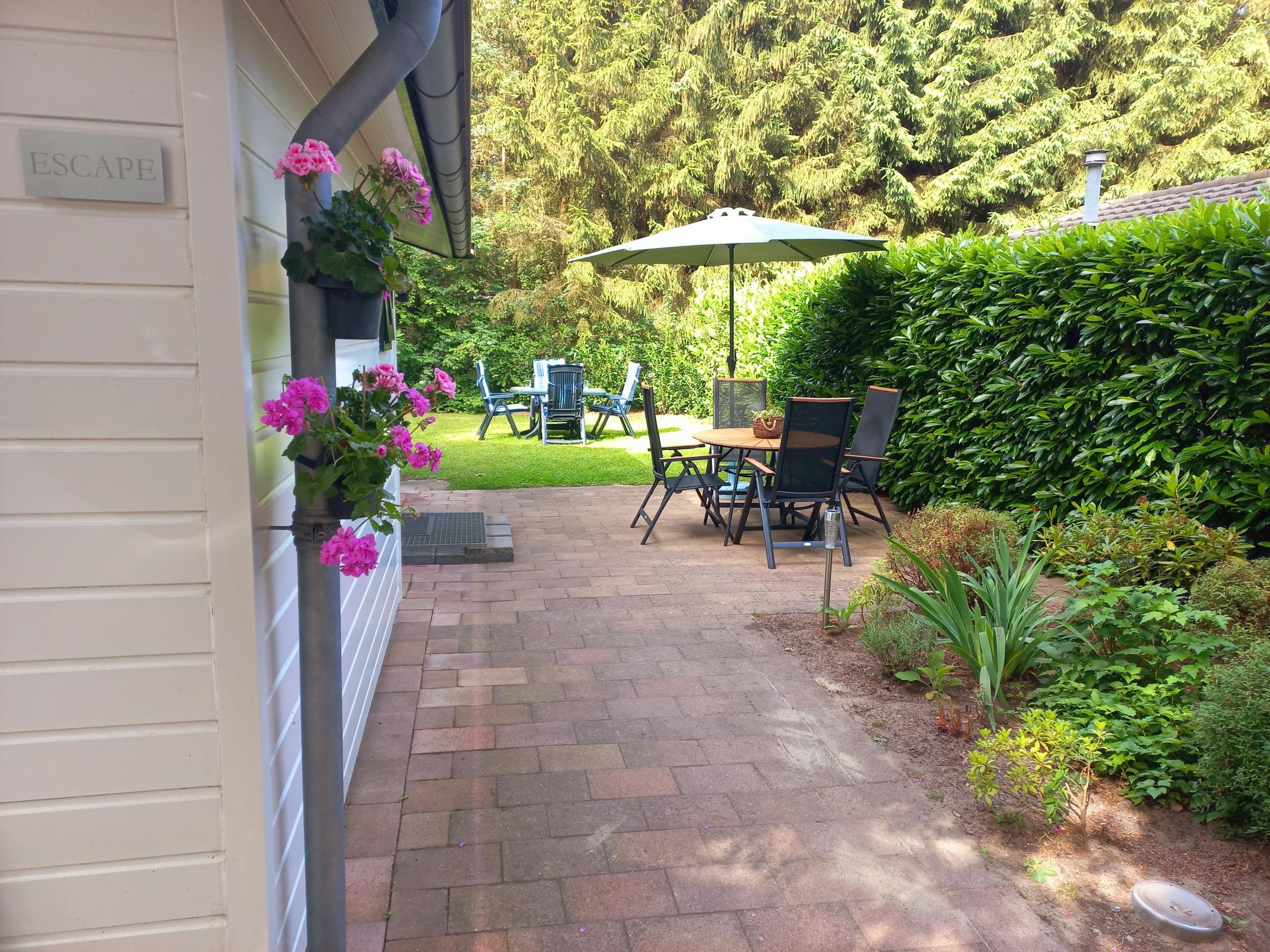 2-bedroom freehold villa in Vorden — photo 4 of 5