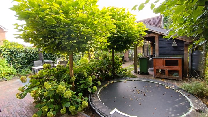 Foto 50 van Bezaan 27