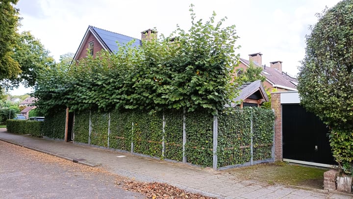 Foto 58 van Bezaan 27