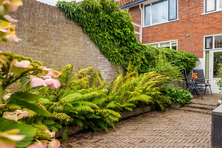 Foto 13 van Goudsbloemstraat 38