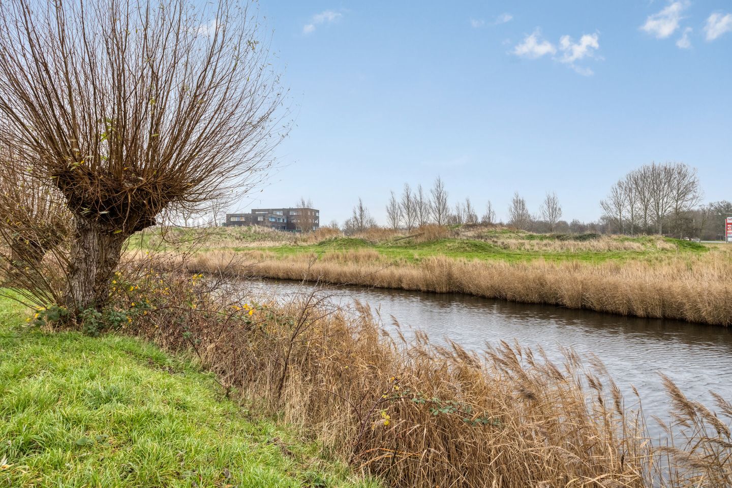 Photo 34 of Prattenburg 13