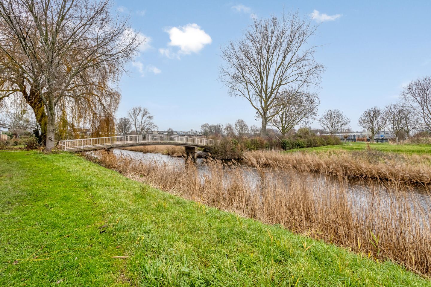 Photo 35 of Prattenburg 13