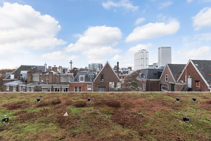 Foto 35 van Van Vollenhovenstraat 3-419