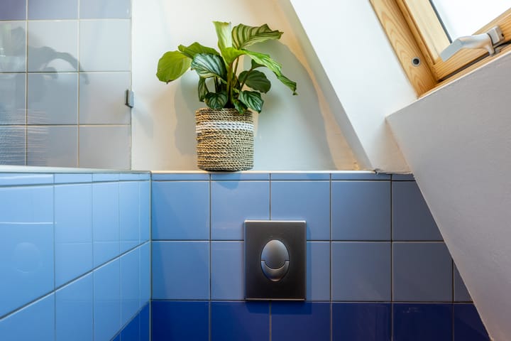 Foto 35 van Rietgors 11