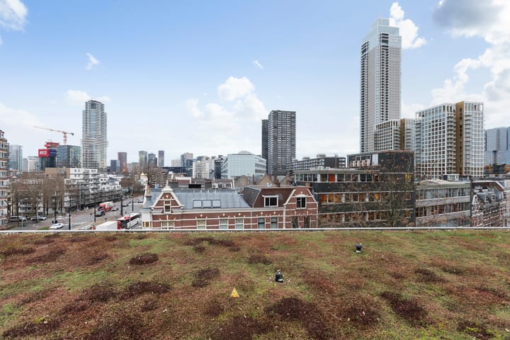 Foto 36 van Van Vollenhovenstraat 3-419