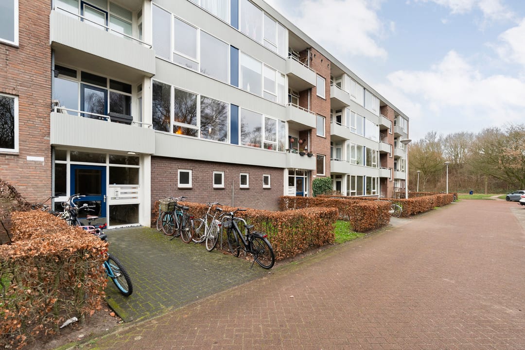 Photo 1 of Ruusbroecstraat 159
