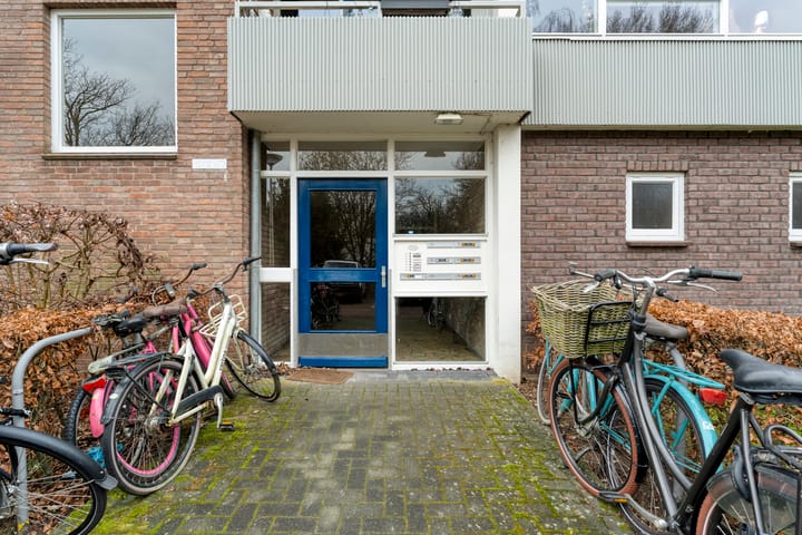 Photo 37 of Ruusbroecstraat 159