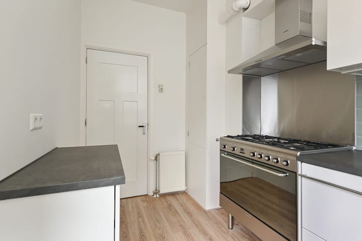 Foto 22 van Van Loostraat 38-A