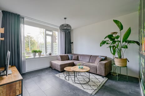 Houtduif 49 secondary image