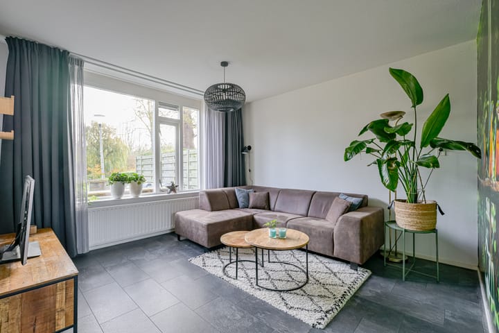 Foto 2 van Houtduif 49