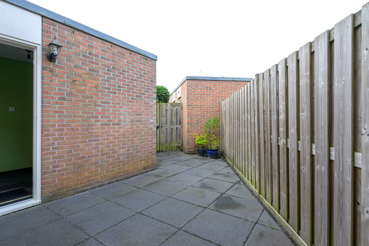 Foto 13 van Houtduif 49