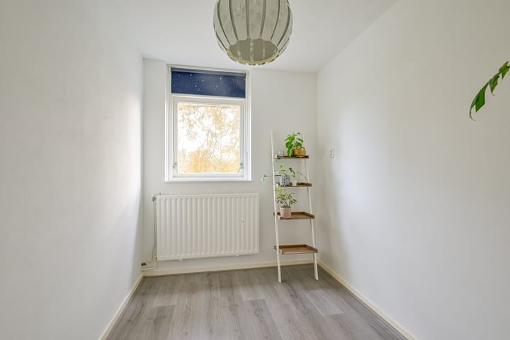 Foto 23 van Houtduif 49