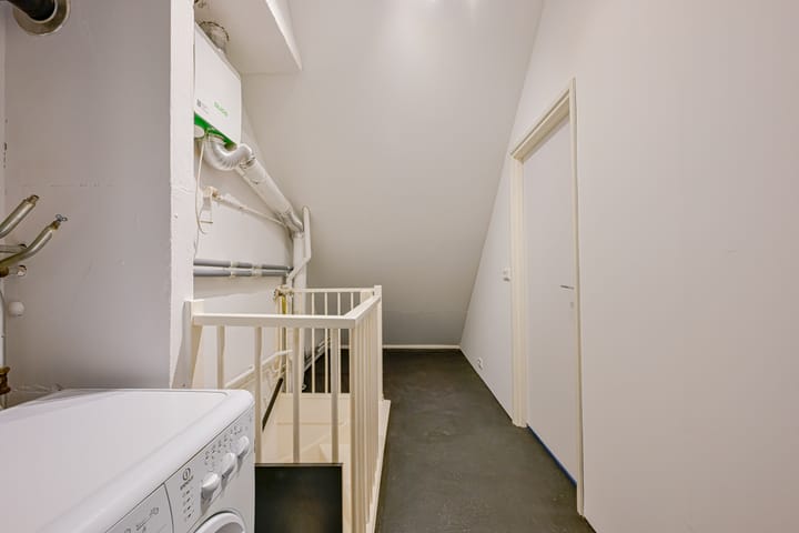 Foto 30 van Houtduif 49