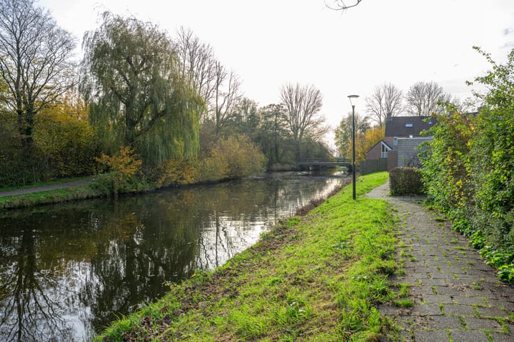 Foto 35 van Houtduif 49