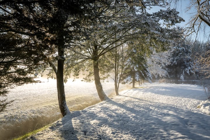 Foto 3 van Veenweg 29