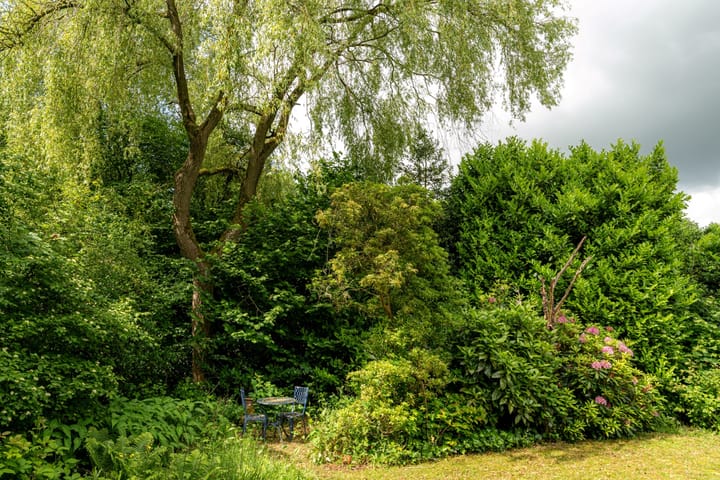 Foto 30 van Heidemeer 23