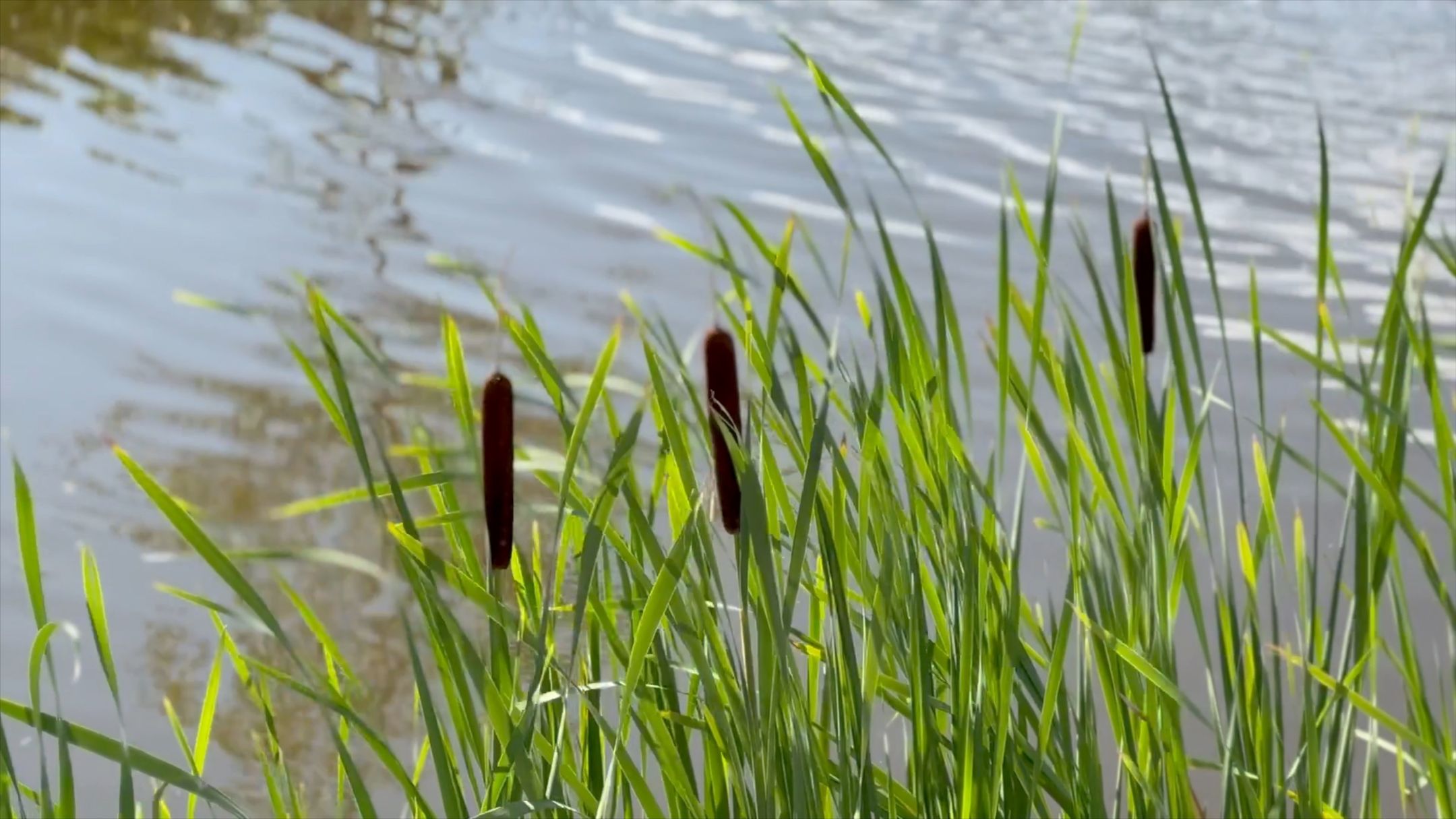 Photo 6 of Rijksstraatweg 78