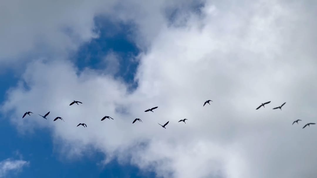 Photo 8 of Rijksstraatweg 78