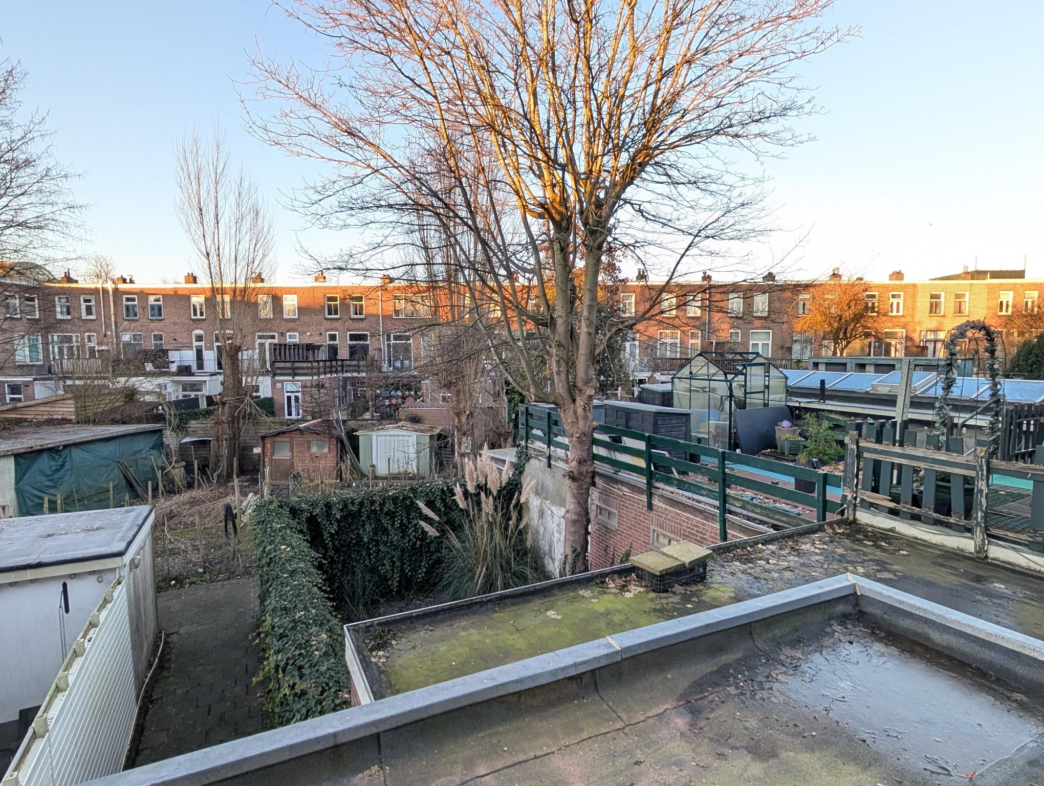 Foto 15 van Adriaen van Ostadelaan 47