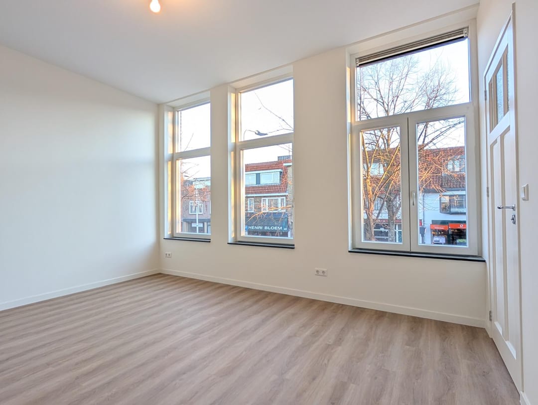 Foto 17 van Adriaen van Ostadelaan 47