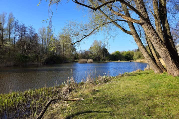 Foto 22 van Segbroeklaan 532