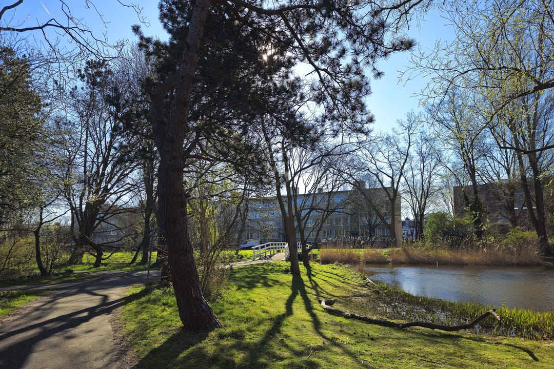 Foto 23 van Segbroeklaan 532