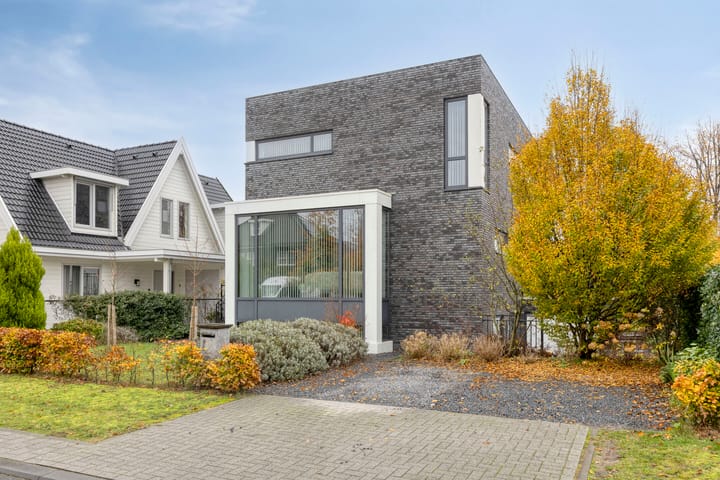 Foto 5 van Waterjuffer 2