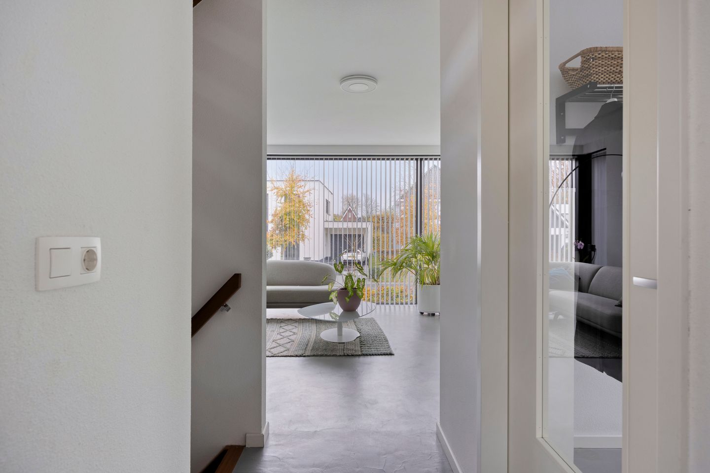 Foto 10 van Waterjuffer 2