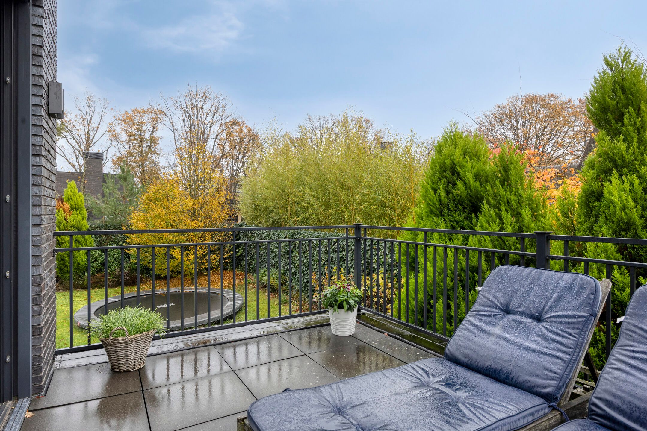 Foto 33 van Waterjuffer 2