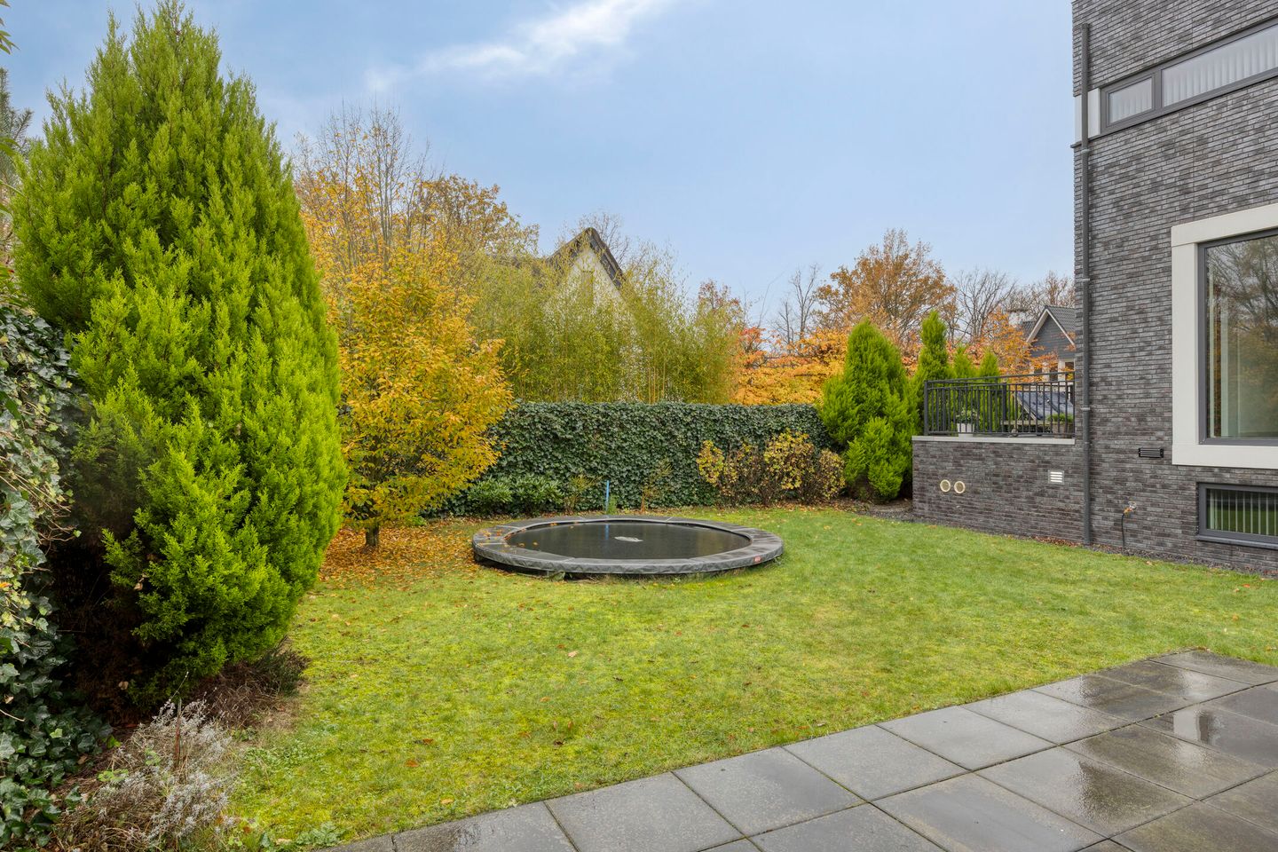 Foto 55 van Waterjuffer 2